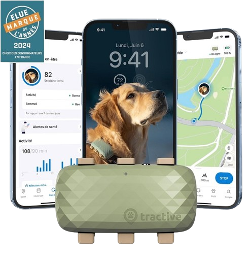 Collier GPS pour Chien XL
